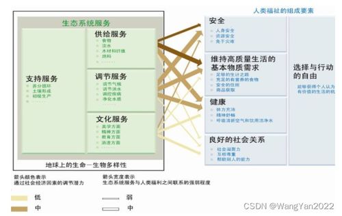 INVEST模型實踐與進階 在生態(tài)系統(tǒng)服務(wù)評估與城市研究中的核心應(yīng)用及技術(shù)服務(wù)體系
