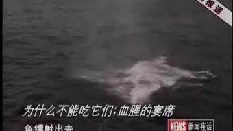 巢湖學院 學貫江淮，筑夢前行
